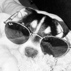 Lunettes créateur Manduel, opticien Manduel, lunette femme